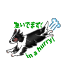 シェルティーフレンズ（個別スタンプ：15）
