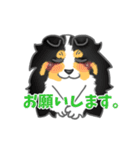 シェルティーフレンズ（個別スタンプ：16）