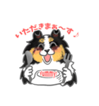 シェルティーフレンズ（個別スタンプ：18）