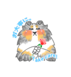 シェルティーフレンズ（個別スタンプ：20）