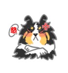 シェルティーフレンズ（個別スタンプ：25）