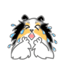 シェルティーフレンズ（個別スタンプ：27）