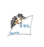 シェルティーフレンズ（個別スタンプ：33）