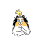 シェルティーフレンズ（個別スタンプ：34）
