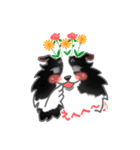 シェルティーフレンズ（個別スタンプ：36）