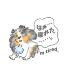 シェルティーフレンズ（個別スタンプ：37）
