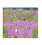 簡単見積もり5（個別スタンプ：1）