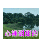 簡単見積もり5（個別スタンプ：2）