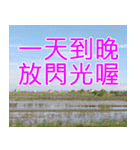 簡単見積もり5（個別スタンプ：4）