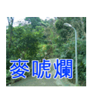 簡単見積もり5（個別スタンプ：7）