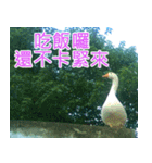 簡単見積もり5（個別スタンプ：10）