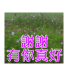 簡単見積もり5（個別スタンプ：12）