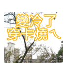 簡単見積もり5（個別スタンプ：13）