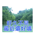 簡単見積もり5（個別スタンプ：14）