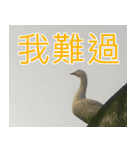 簡単見積もり5（個別スタンプ：15）