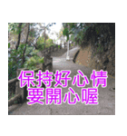 簡単見積もり5（個別スタンプ：16）