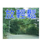 簡単見積もり5（個別スタンプ：17）