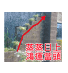 簡単見積もり5（個別スタンプ：20）