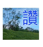簡単見積もり5（個別スタンプ：22）