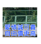 簡単見積もり5（個別スタンプ：29）