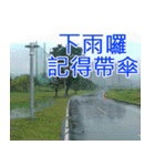 簡単見積もり5（個別スタンプ：31）