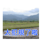 簡単見積もり5（個別スタンプ：32）