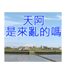 簡単見積もり5（個別スタンプ：35）