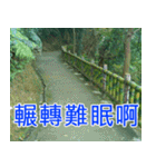 簡単見積もり5（個別スタンプ：37）