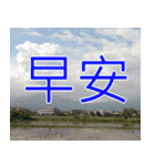 簡単見積もり5（個別スタンプ：38）