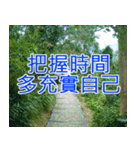 簡単見積もり5（個別スタンプ：40）