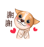 Chihuahua Didi（個別スタンプ：2）
