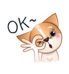 Chihuahua Didi（個別スタンプ：3）
