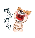 Chihuahua Didi（個別スタンプ：5）