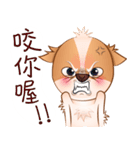 Chihuahua Didi（個別スタンプ：6）