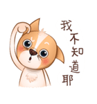 Chihuahua Didi（個別スタンプ：7）
