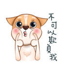 Chihuahua Didi（個別スタンプ：8）