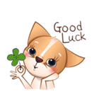Chihuahua Didi（個別スタンプ：10）