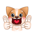 Chihuahua Didi（個別スタンプ：11）