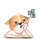 Chihuahua Didi（個別スタンプ：12）