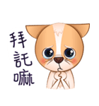 Chihuahua Didi（個別スタンプ：14）