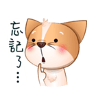 Chihuahua Didi（個別スタンプ：15）