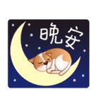Chihuahua Didi（個別スタンプ：17）