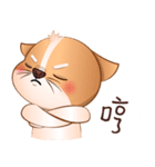 Chihuahua Didi（個別スタンプ：19）