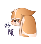 Chihuahua Didi（個別スタンプ：21）