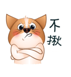 Chihuahua Didi（個別スタンプ：22）