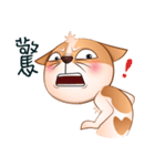 Chihuahua Didi（個別スタンプ：23）