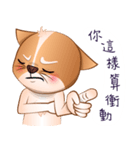 Chihuahua Didi（個別スタンプ：24）