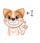 Chihuahua Didi（個別スタンプ：25）