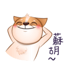 Chihuahua Didi（個別スタンプ：26）
