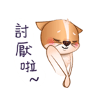 Chihuahua Didi（個別スタンプ：27）